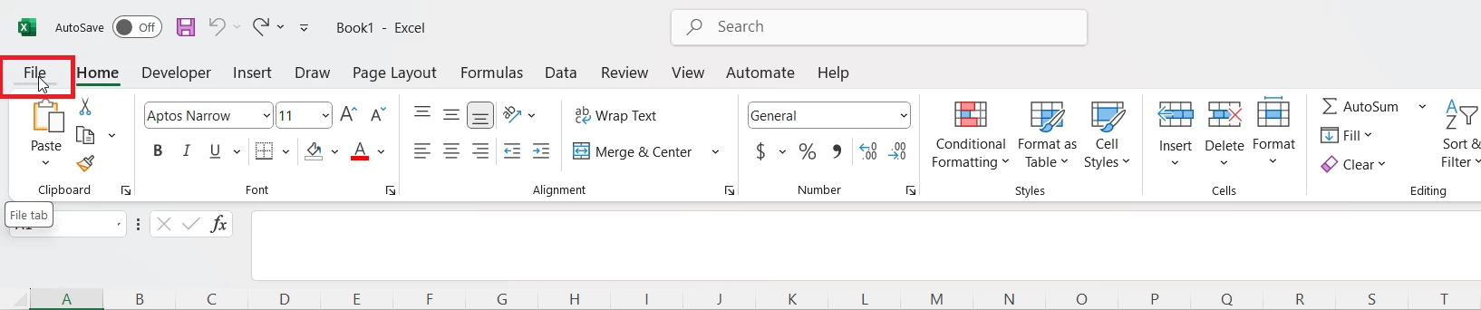 Excel File Option