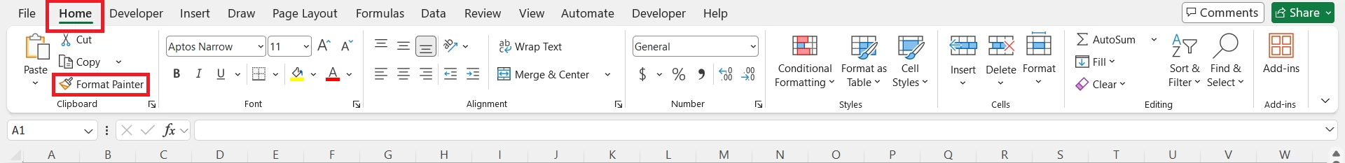 Format Painter Icon